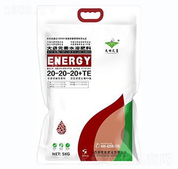 5kg大量元素水溶肥料20-20-20+TE-新核能