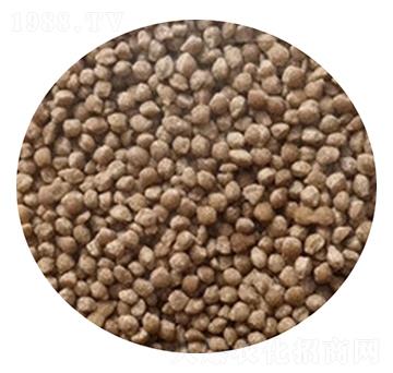 �D����ɒ��A�Ȼ��@���w����-���r(n��ng)����