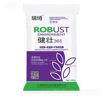 ����365-����-�����r(n��ng)�I(y��)