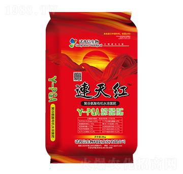 聚谷氨酸有機水溶菌肥-連天紅-諾普信