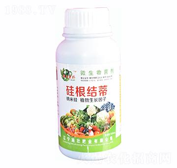 ����Y(ji��)��-ʩ�ѷʘI(y��)