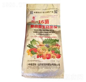 �ͺ�΢�������-16��-��������