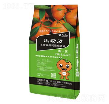 �ք��������pø�}�V���F�\-�՝��S