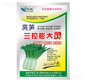 �n�S��������`-�G��-��ʿ�R��