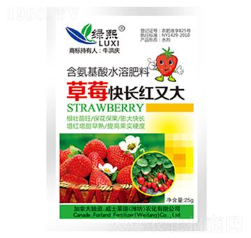 ��ݮ���L�t�ִ�-�G��-��ʿ�R��