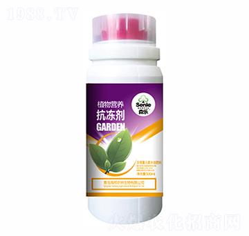 ֲ��I�B(y��ng)������-ɭ��-�����r��