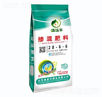 �������28-6-6-ʢ���S