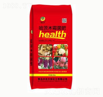 ����ľø����-(li��n)�_(d��)�S-���r(n��ng)����