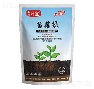 苗蓓綠-寶葉植物