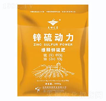 鋅硫動力-新核能