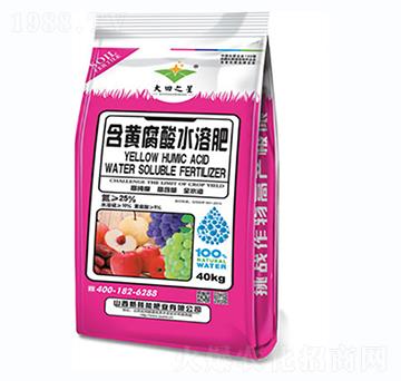 ���S����ˮ�ܷ�-�º���