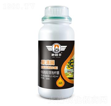 ���M�@��������@�؂䣩-ʩ���S