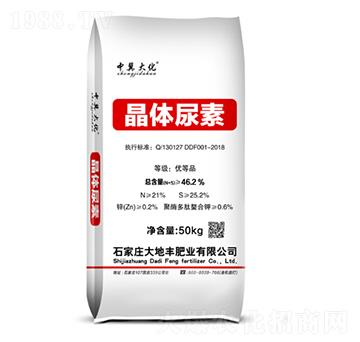 ���w����-����S