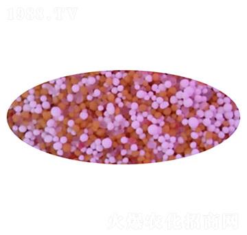 С������׷�-ʢ���Ƴ�