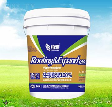 生根膨果-植雅-卡夫