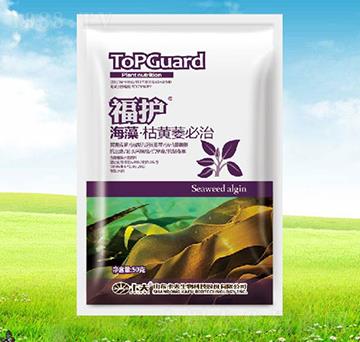 海藻枯黃萎必治-福護-卡夫