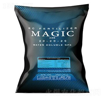 Magic-ASB-202020-ָ