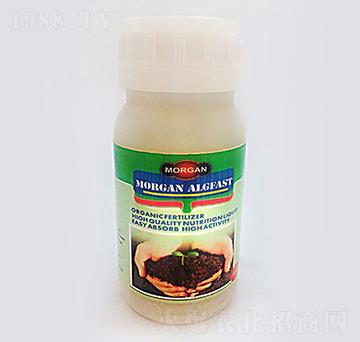 �캣��-�ָ���