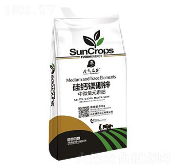 ���}�V���\-���ϻ���