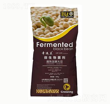 ΢�������-���\��-���ϻ���