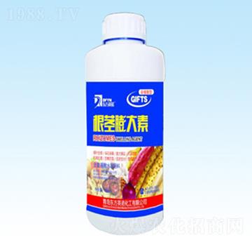 含氨基酸水溶肥料-根莖膨大素-東方英諾