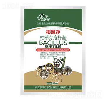 枯草芽孢桿菌-根腐凈-東方英諾