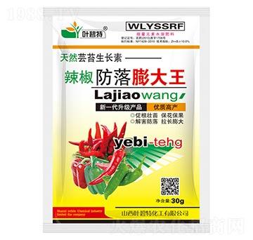 辣椒防落膨大王-葉碧特