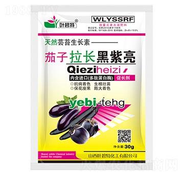 茄子拉長黑紫亮-葉碧特