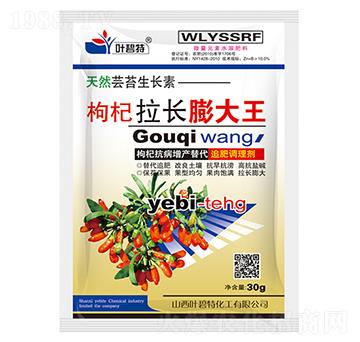 枸杞拉長膨大王-葉碧特