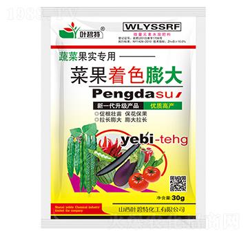 菜果著色膨大-葉碧特