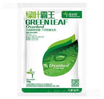 綠葉霸王-葉碧特