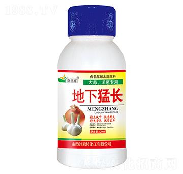 大蒜、洋蔥地下猛長-葉碧特