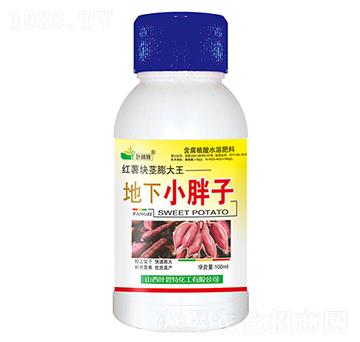 地下小胖子-葉碧特