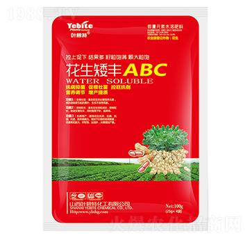 花生矮豐ABC-葉碧特