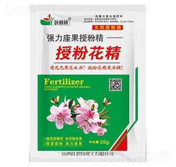 授粉花精-葉碧特