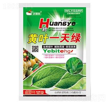 黃葉一天綠-葉碧特