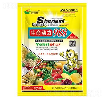 生命動力988-葉碧特