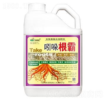 吲哚根霸-葉碧特