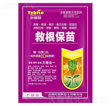 救根保苗-葉碧特