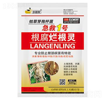 根腐爛根靈-葉碧特