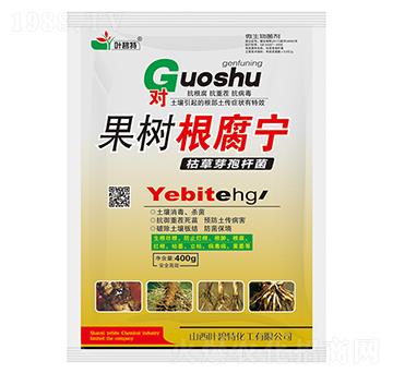 果樹根腐寧-葉碧特