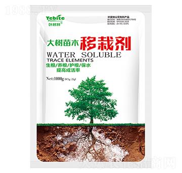 大樹(shù)苗木移栽劑-葉碧特