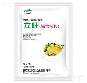 立旺膨果拉長(zhǎng)-葉碧特