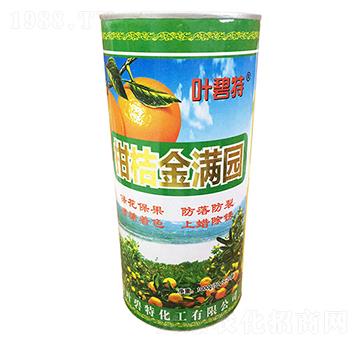 柑桔金滿園-葉碧特