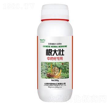 中藥材專用-根大壯-葉碧特