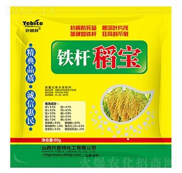 鐵桿稻寶-葉碧特