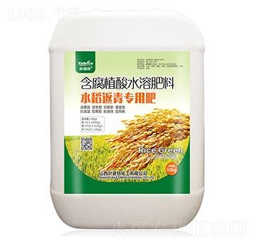水稻返青專(zhuān)用肥-葉碧特