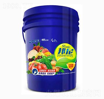 �_ʩ����-��(��i)���_(d��)