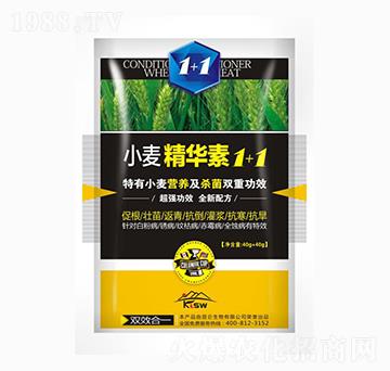 小麥精華素1+1-愛普達