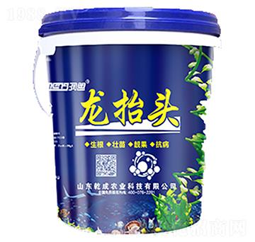 龍?zhí)ь^-乾成農(nóng)業(yè)